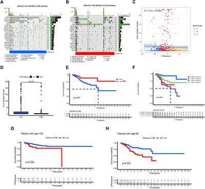 Cuproptosis patterns and tumor microenvironment in endometrial cancer